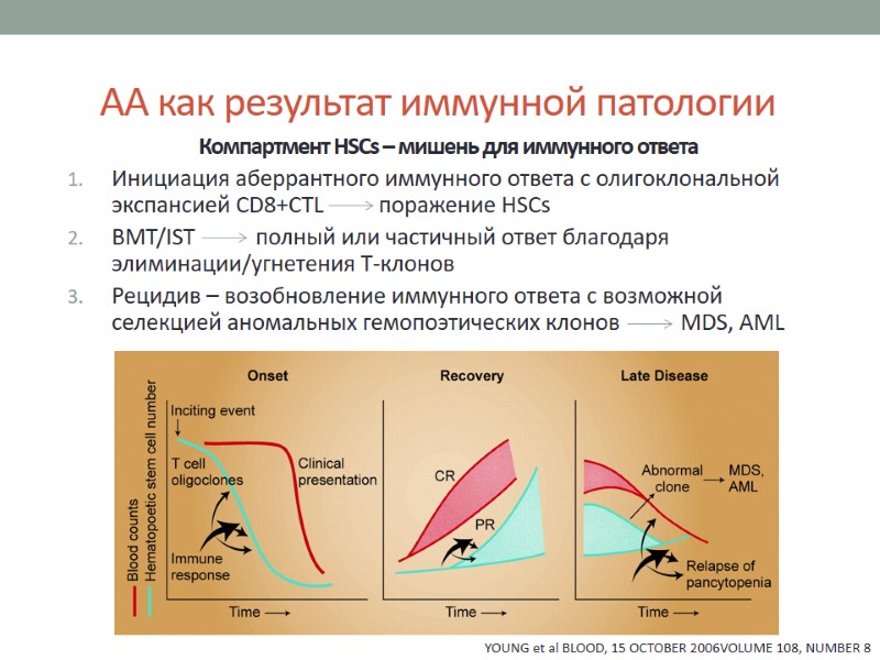 АА как результат иммунной патологии Компартмент HSCs – мишень для иммунного ответа Инициация аберрантного